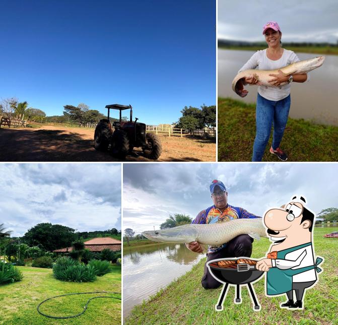 Clube de Pesca e Pousada Boa Sorte