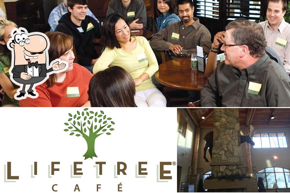 Это изображение кафе "Lifetree Café National"