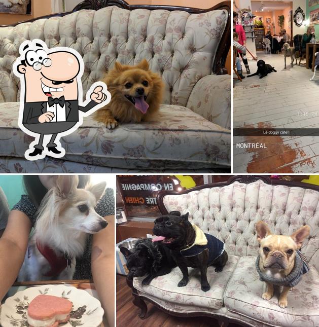 L'intérieur de Le Doggy Café