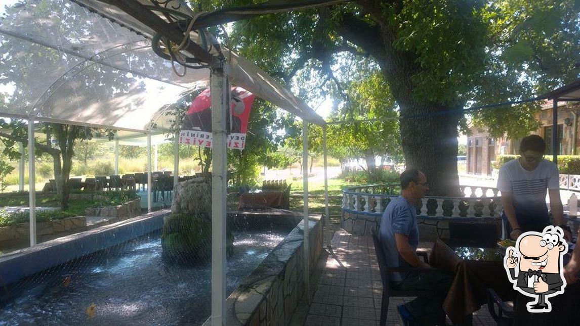 Gölyazı Meşe Altı Restaurant picture