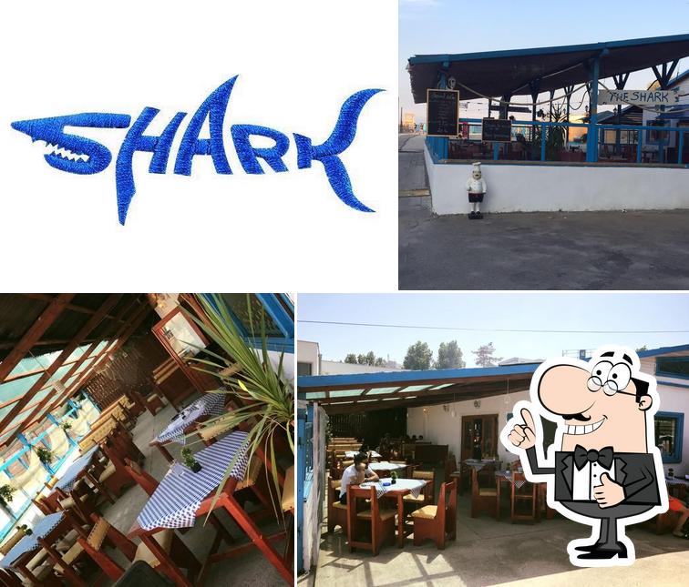 Voici une image de The Shark Mamaia