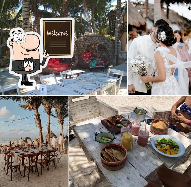 Coquitos Club de Playa, Holbox - Restaurant reviews