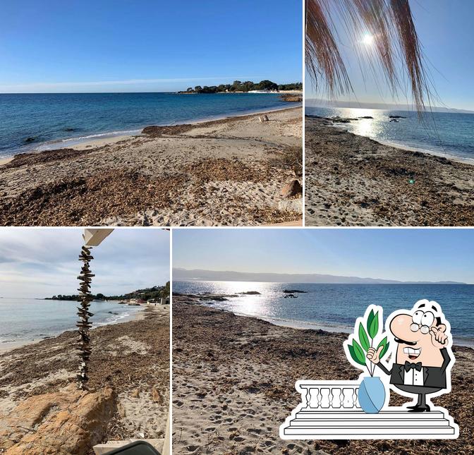 L'extérieur de L'Ariadne Plage Ajaccio