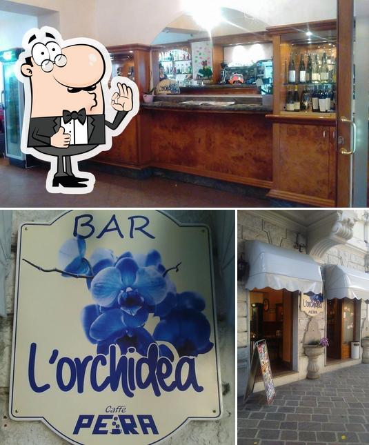 Guarda questa foto di Bar Orchidea