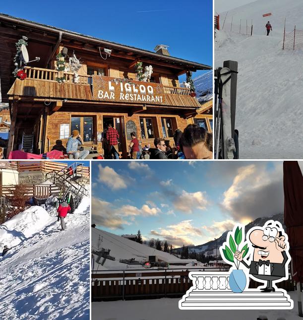 Jetez un coup d’œil à quoi ressemble L'igloo - Bar-Restaurant à l'extérieur