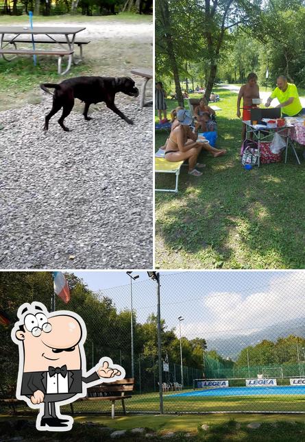 Questa è la foto che raffigura la interni e cibo di Grizzly