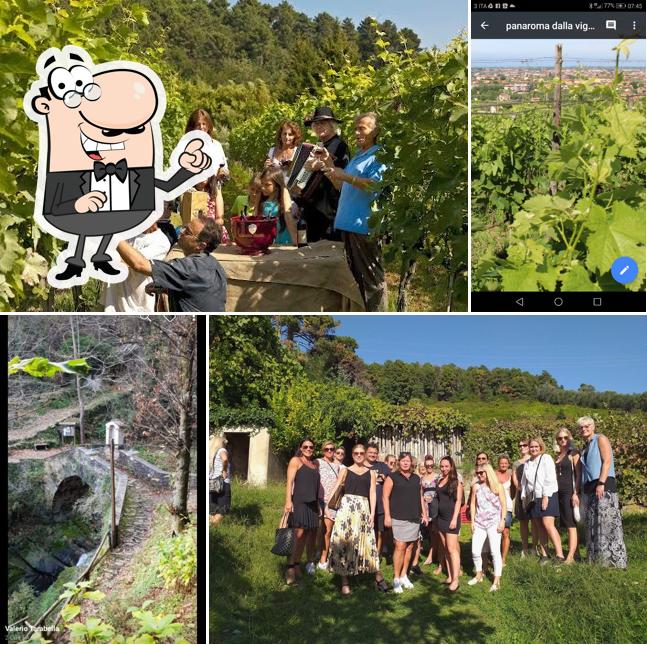 Gli esterni di Cantine Basile