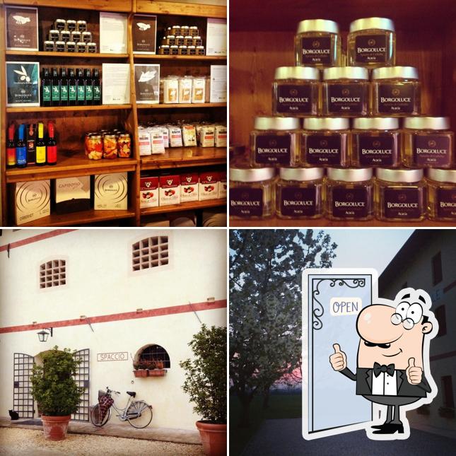 Immagine di Vineria Borgoluce