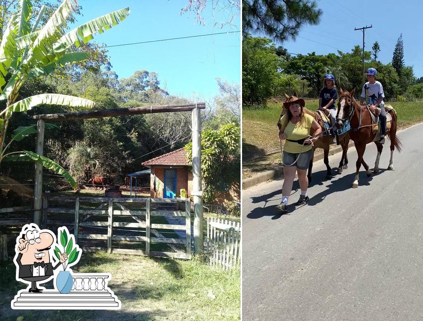 Veja imagens do exterior do Cavalos! Centro Eqüestre