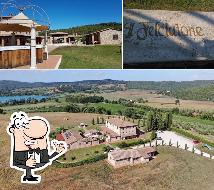 Ecco un'immagine di Agriturismo Il Felciaione