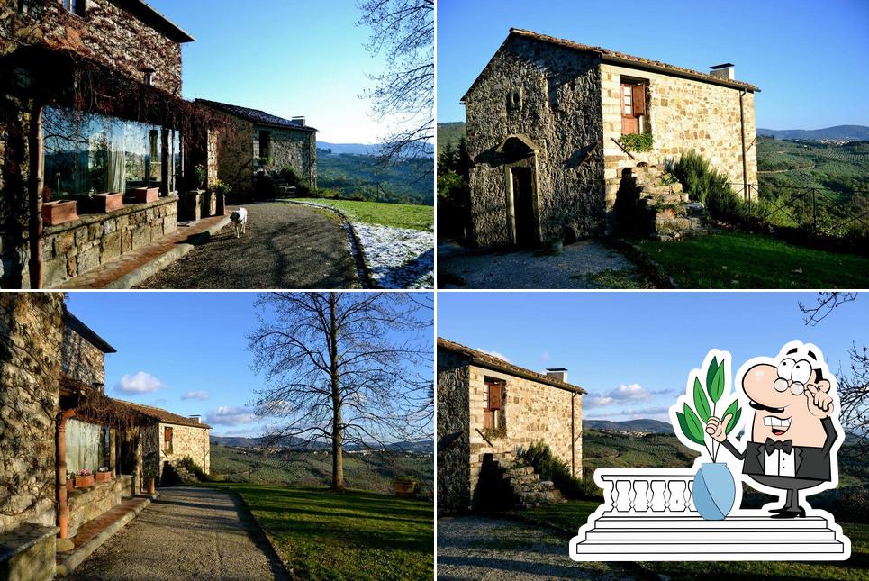 Guarda gli esterni di Agriturismo Cercina Vecchia