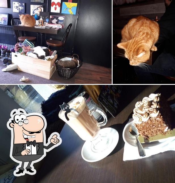 Voici la photo représentant la intérieur et dessert sur Café Chat L'étoile