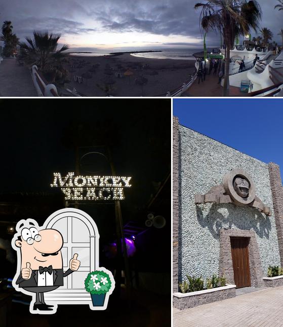 The exterior of Monkey Beach Club