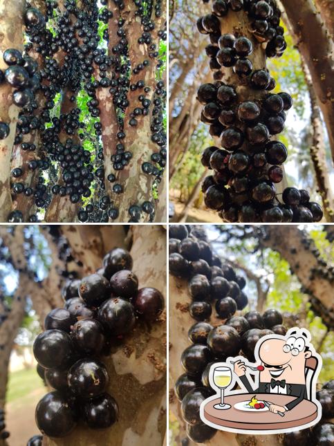 Comida em Estância São José