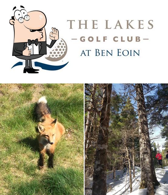 Look at the photo of The Lakes at Ben Eoin Golf Club & Resort