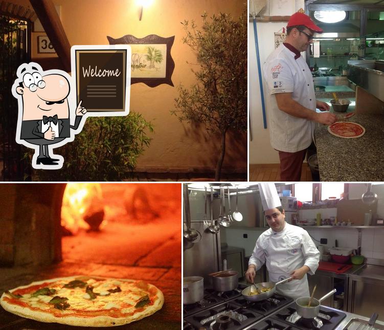 Guarda questa foto di Ristorante Pizzeria IL Porticato - ex frantoio Venosa