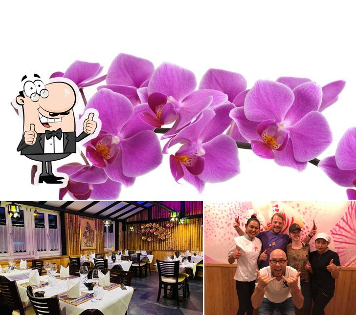 Look at the photo of Restaurant Thai Orchidee