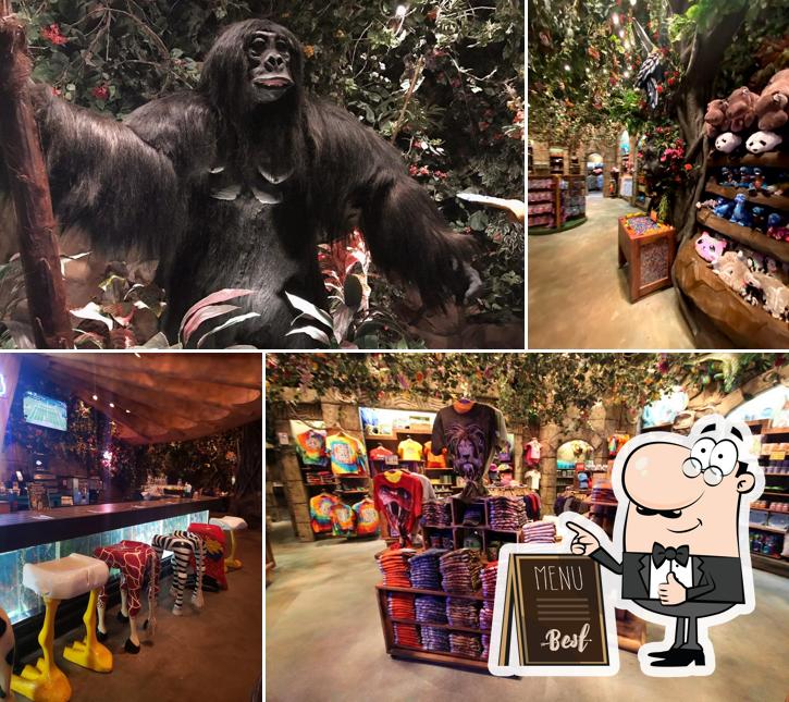 Здесь можно посмотреть фото паба и бара "Rainforest Cafe"