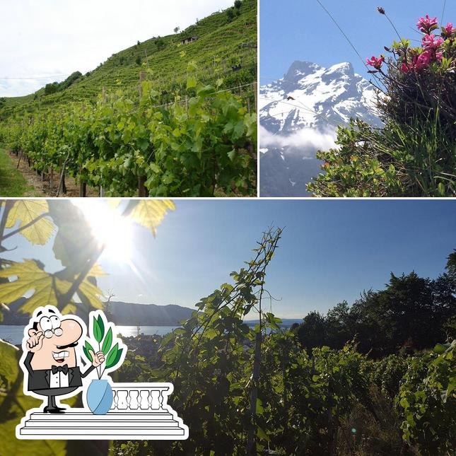 Guarda gli esterni di WeinArt - Alpine wine culture