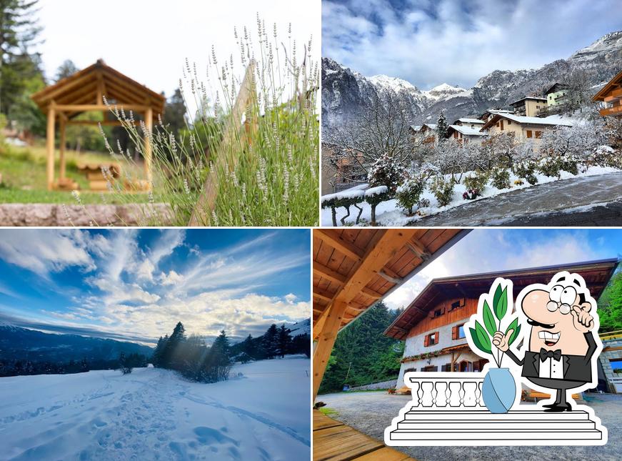 Guarda gli esterni di Rifugio e Ristorante Alpenrose