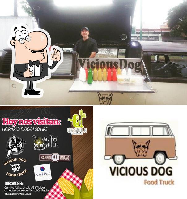 Vicious Dog Food Truck restaurant, Mexico City - Restaurant reviews