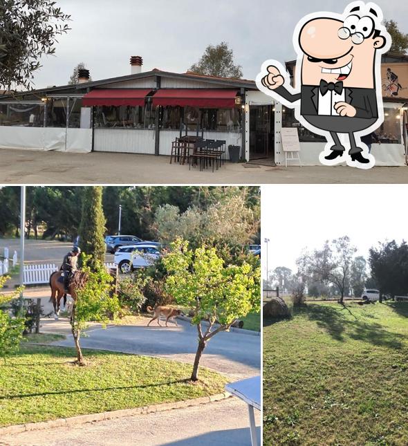 Gli esterni di Brace