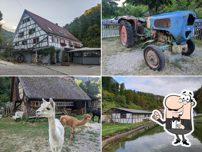 Profitez de la vue de l'espace ouvert de Obere Roggenmühle