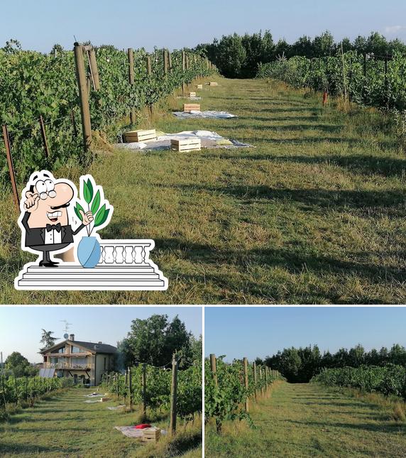 Goditi la vista dagli esterni di La Roverella