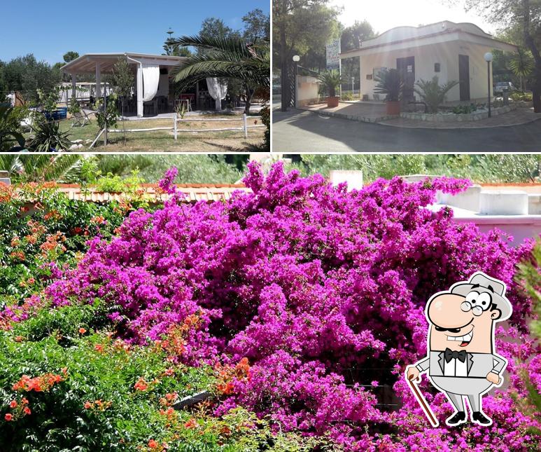 La parte esterna è una caratteristica importante di Camping Residence Villaggio San Michele - Vieste