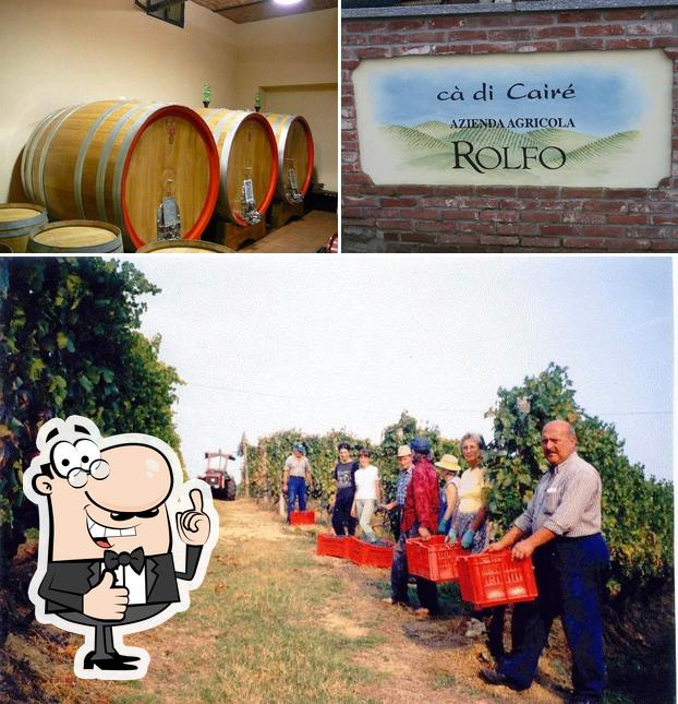 Vedi la foto di Azienda Agricola Cà di Cairè di Emanuele Rolfo-Vendita e degustazione vini del Roero