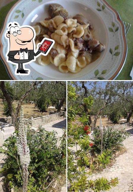 Dai un’occhiata alla immagine che mostra la esterno e cibo di Agriturismo Il Seggio