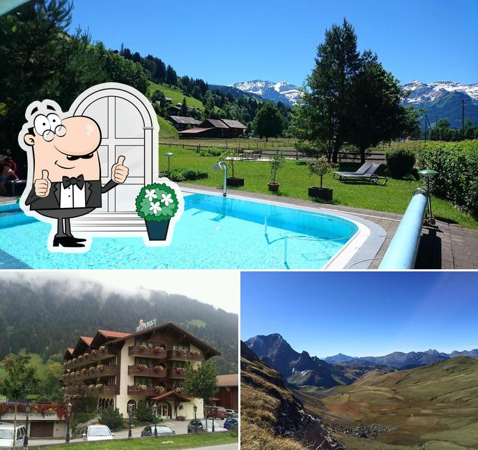 hotel simmenhof lenk im simmental switzerland