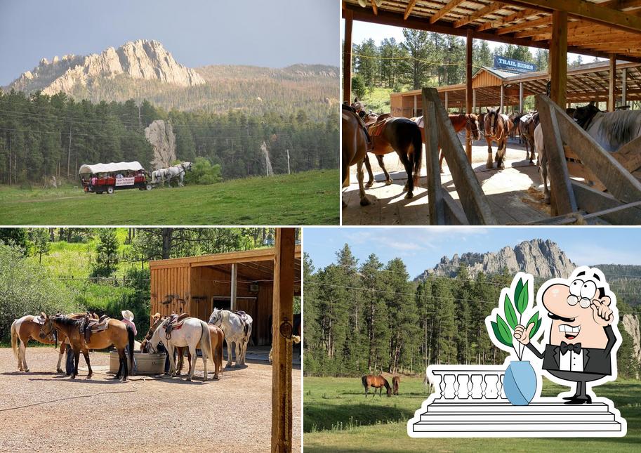 THE STABLES at Palmer Gulch Chuck Wagon Supper Show in Hill City ...