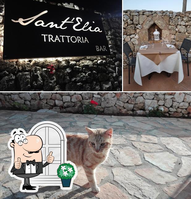 Gli esterni di Trattoria Sant'Elia