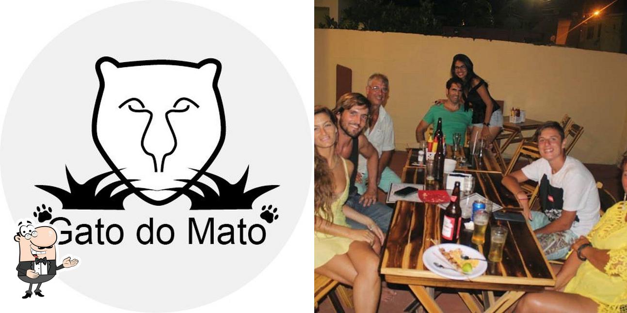 Here's a pic of Gato do Mato Resto Bar