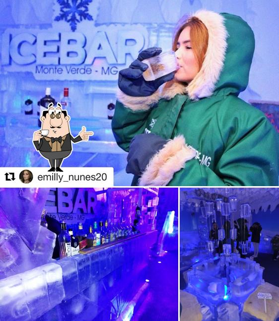 Desfrute de uma bebida no IceBar Monte Verde