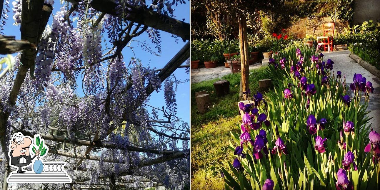 Gli esterni di IL Cortile Agri & Charme