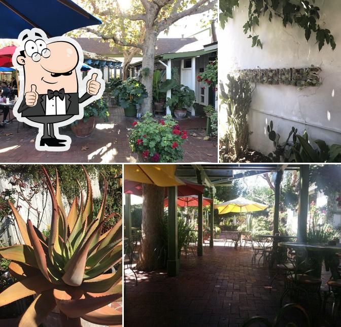 Here's a photo of Jardines de San Juan Restaurant & Event Venue