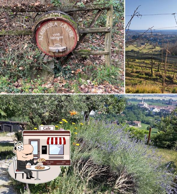 Gli esterni di Ca' Verde - Vino biologico - produzione vendita