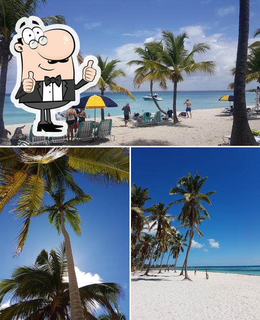 Mire esta imagen de Andy Tours Tages-Ausflüge Dom Rep / Bayahibe / Catalina / Saona / Whale Whatching