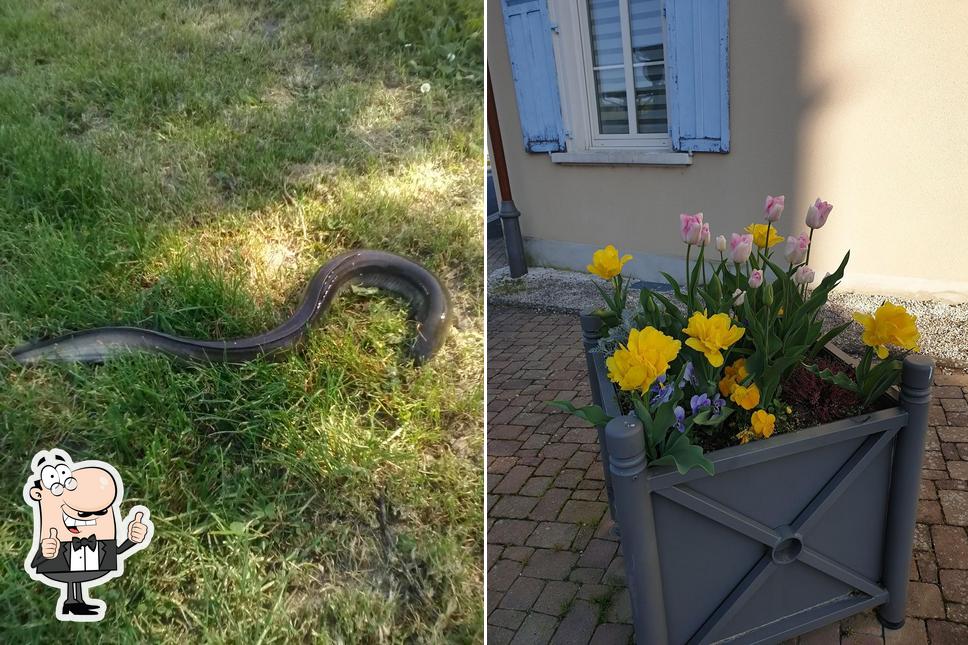 Voir la photo de Maison Dosch