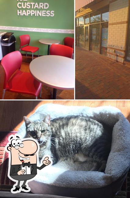 Take a look at the picture depicting interior and exterior at Rita's Italian Ice & Frozen Custard