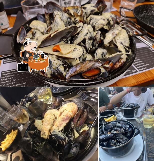 Moules à L’hippocampe