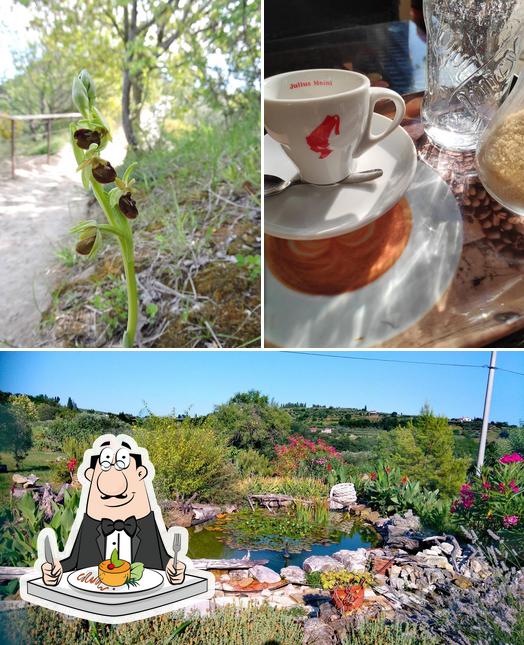 La foto di cibo e esterno da Vidin arboretum