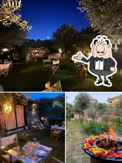 Dai un'occhiata agli interni di Garbassu allorto