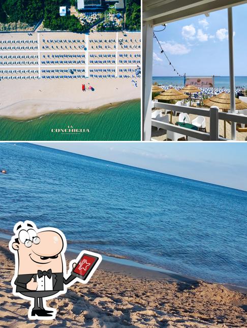 Gli esterni di La Conchiglia - Bar & Beach Restaurant