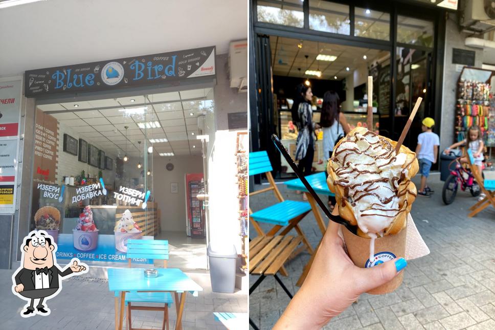 L'intérieur de Blue Bird Coffee Shop