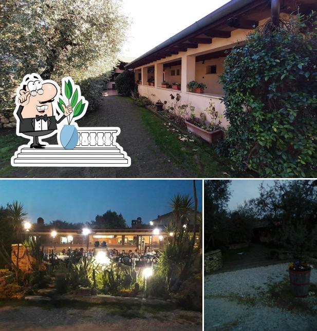 Guarda gli esterni di Agriturismo del Gelsomino