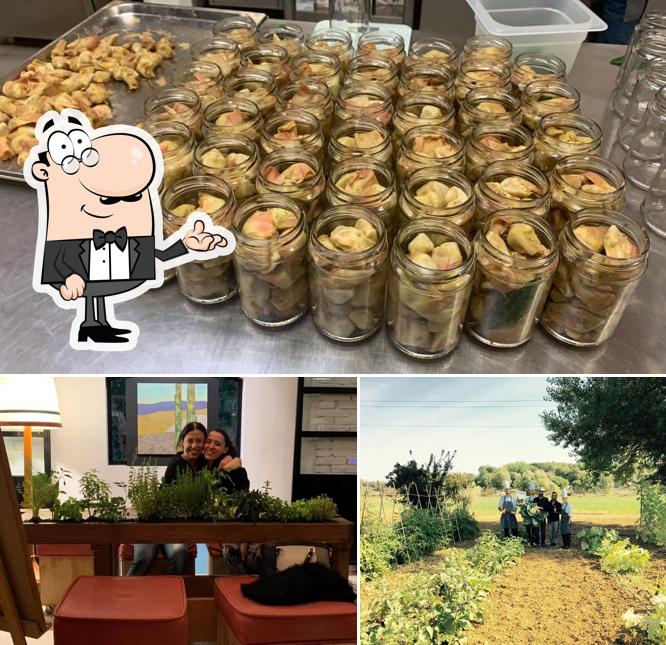 Guarda la foto che presenta la interni e esterno di Osteria della Lodola
