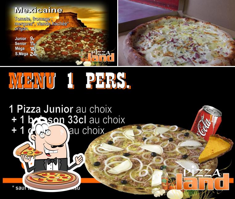 A Pizza Land Louviers, vous pouvez prendre des pizzas
